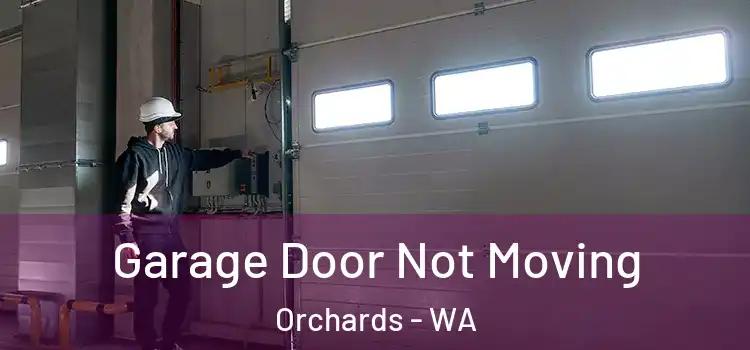  Garage Door Not Moving Orchards - WA
