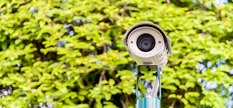 Advanced Surveillance Solutions for Every Need in Orchards
