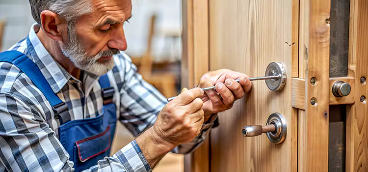 Mortise Replacement Lock Orchards