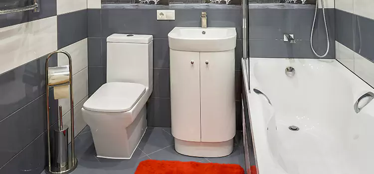 Hansgrohe Shaving Mirror Orchards