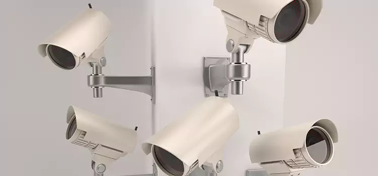 Your Trusted Partner for CCTV Solutions in Orchards